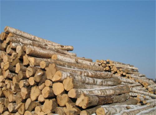 ����ľ���ڱ���