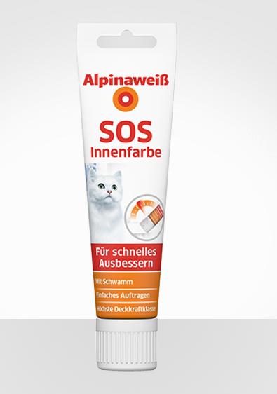 ��ݸͿ�Ͻ��ڱ���