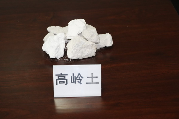 ���������ڱ���