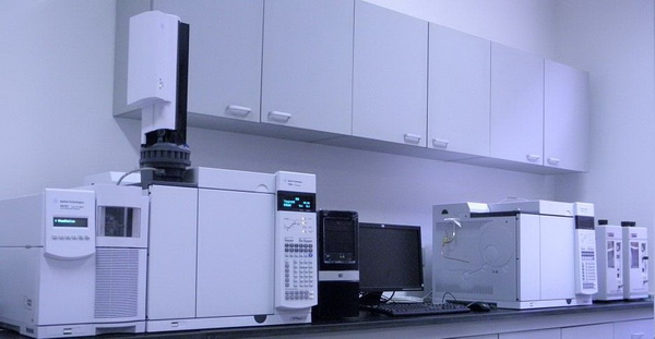 ��ɫ���ǽ��ڱ���